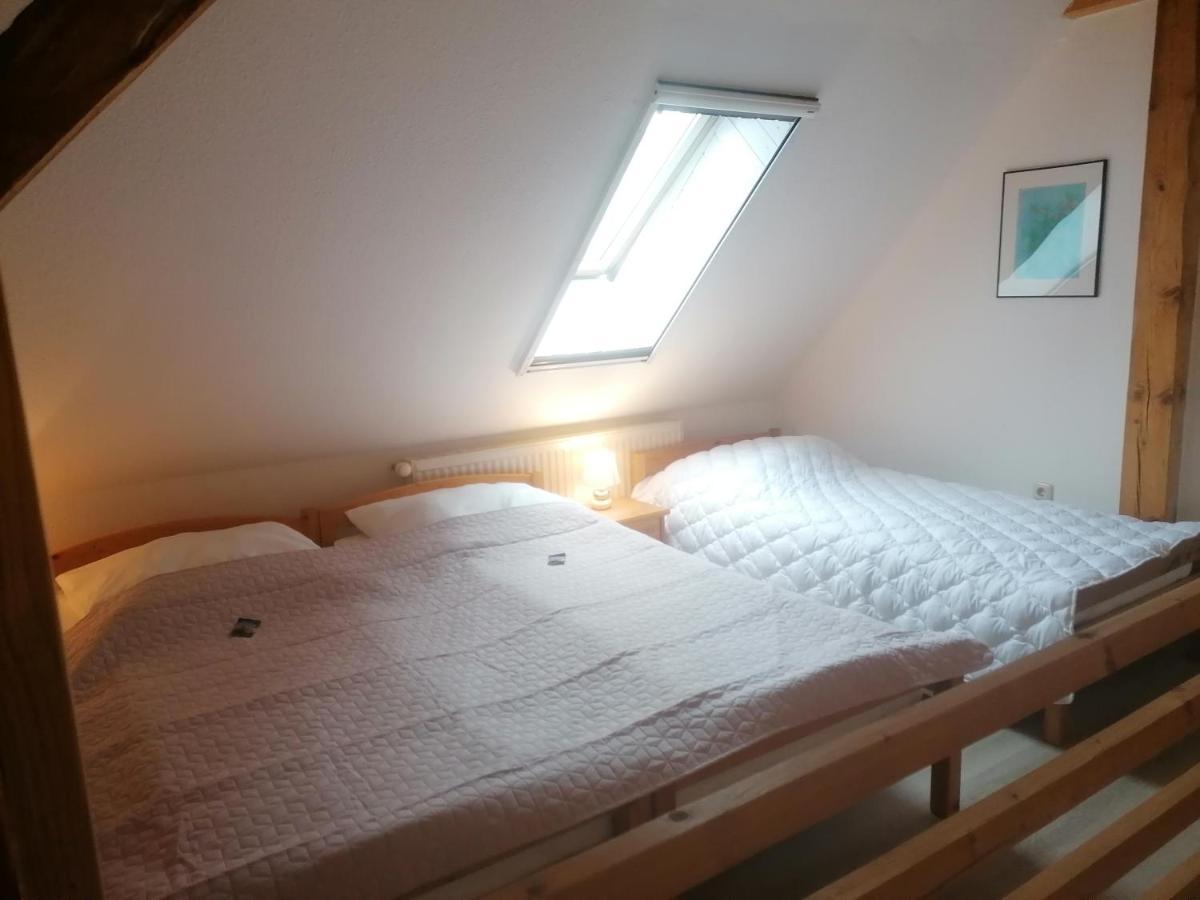 Boddenhus Auf Ruegen - Ferienwohnungen Und Pension Rappin ภายนอก รูปภาพ