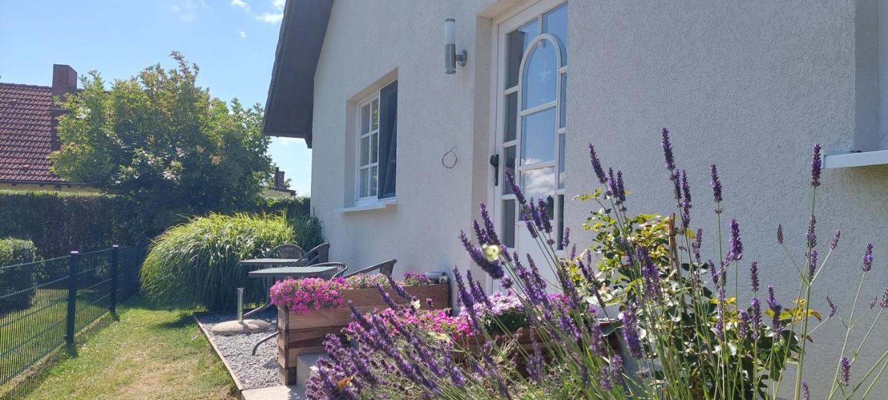 Boddenhus Auf Ruegen - Ferienwohnungen Und Pension Rappin ภายนอก รูปภาพ