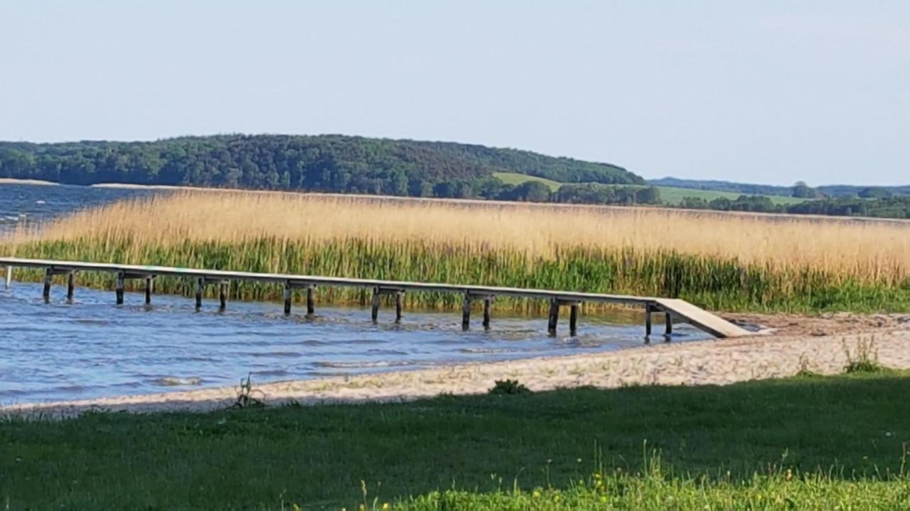 Boddenhus Auf Ruegen - Ferienwohnungen Und Pension Rappin ภายนอก รูปภาพ